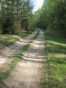 Дорога в Поповку